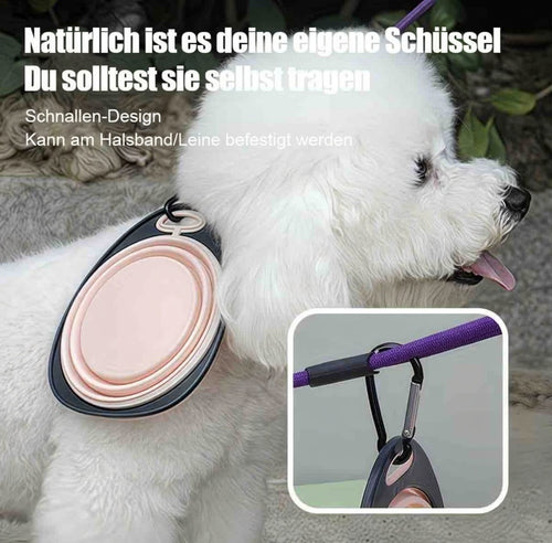 Faltbare Futterschüssel für unterwegs