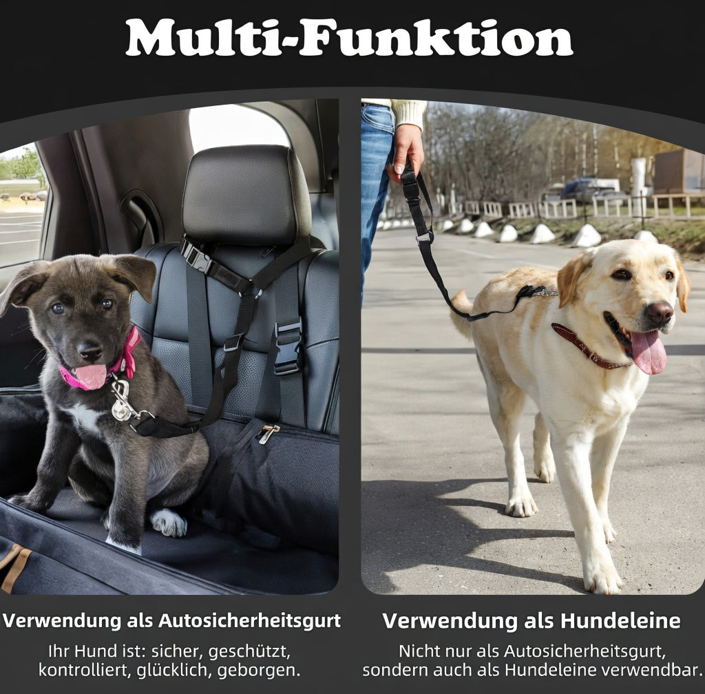 Hundesicherheitsgurt fürs Auto